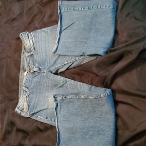 Silver Jeans Tia low rise